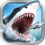 Mac玲珑加速器破解版