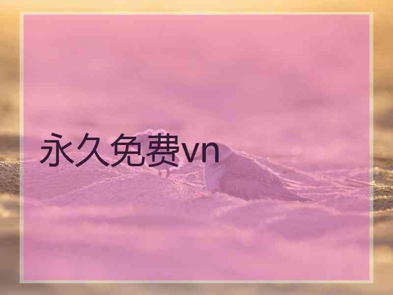 永久免费vn